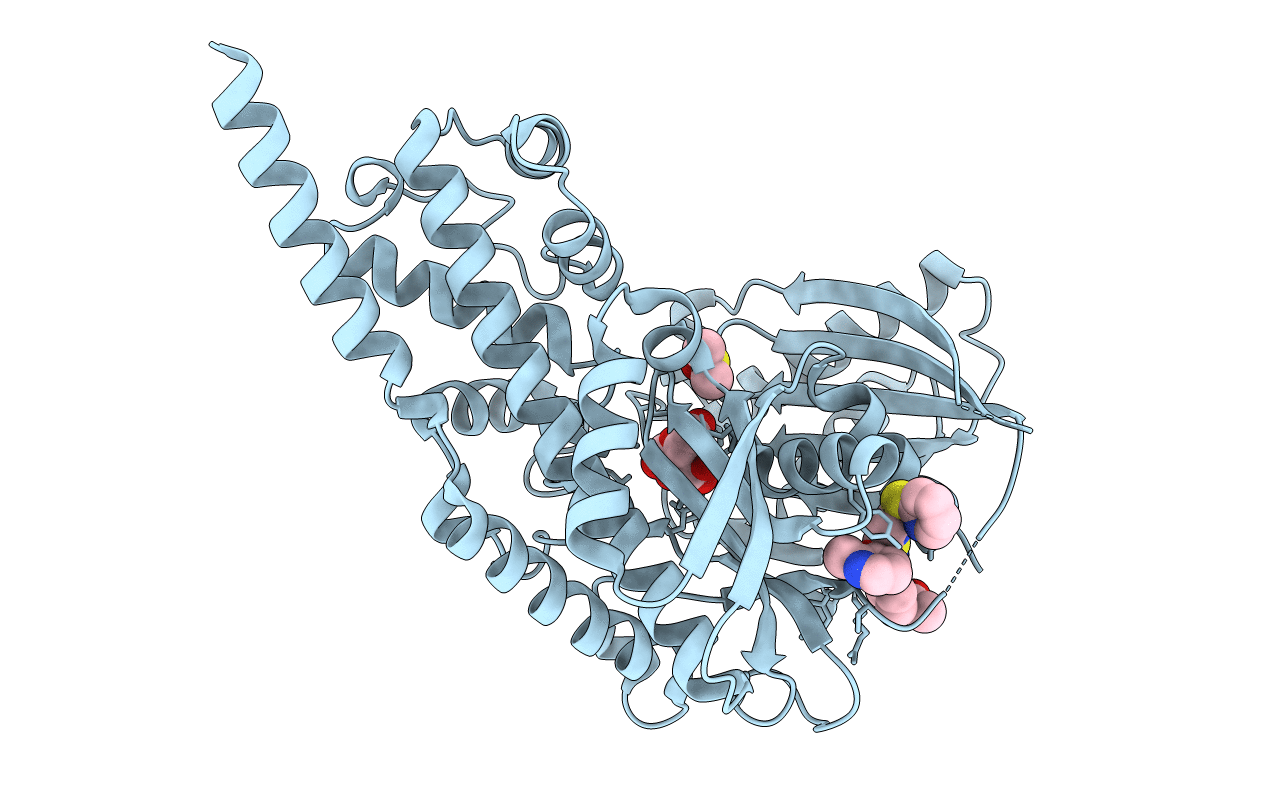 6E0I image