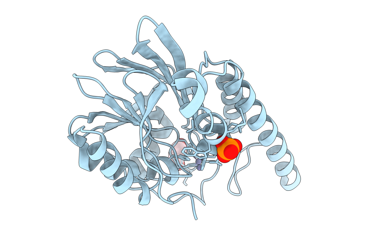 6E0S image