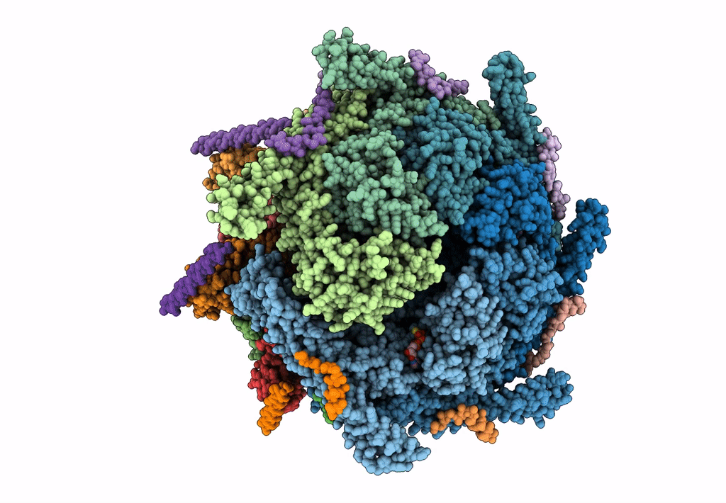 6E11 image