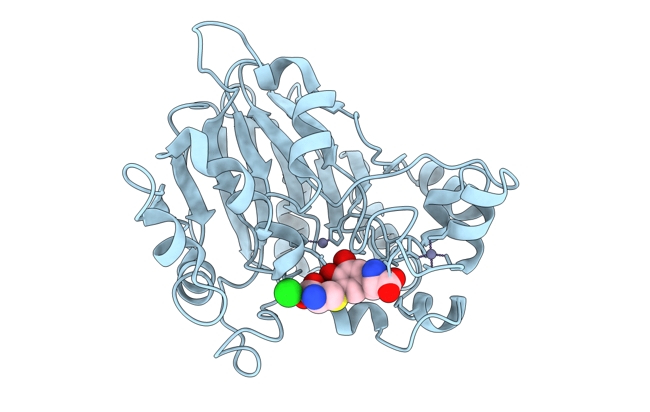 6E13 image