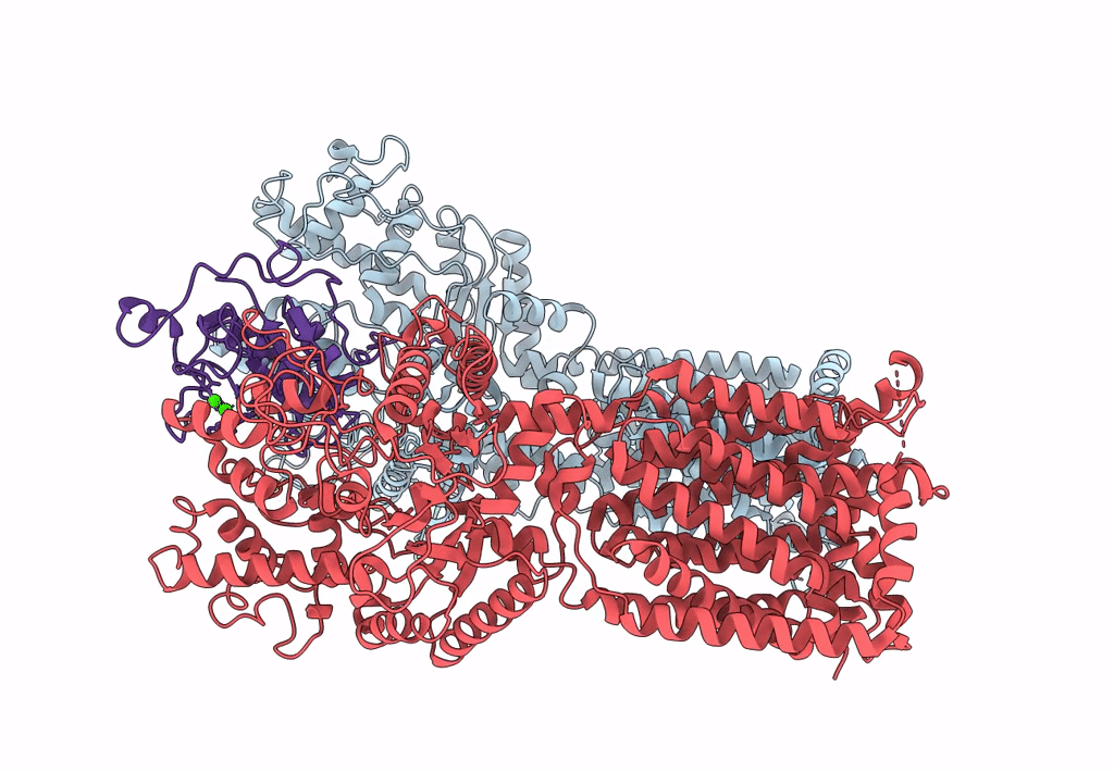 6E1H image