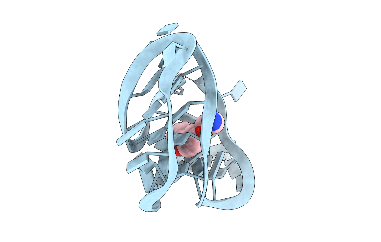 6E1S image