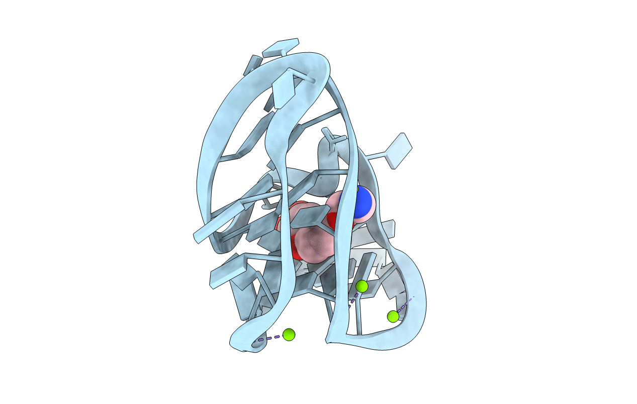6E1T image