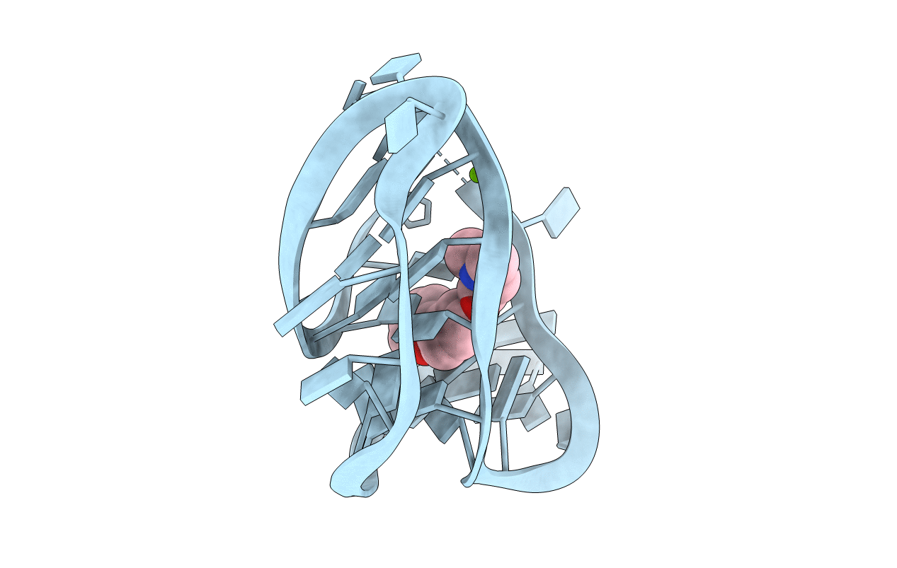6E1U image