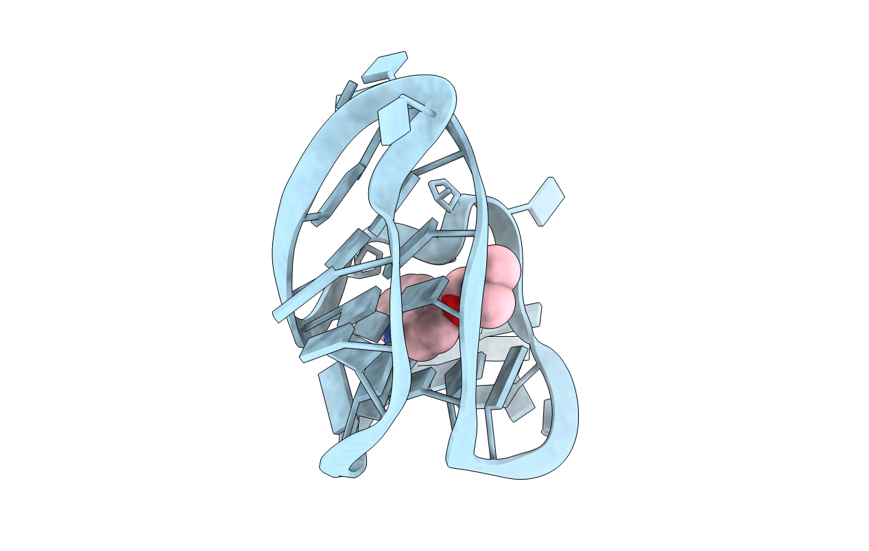 6E1V image