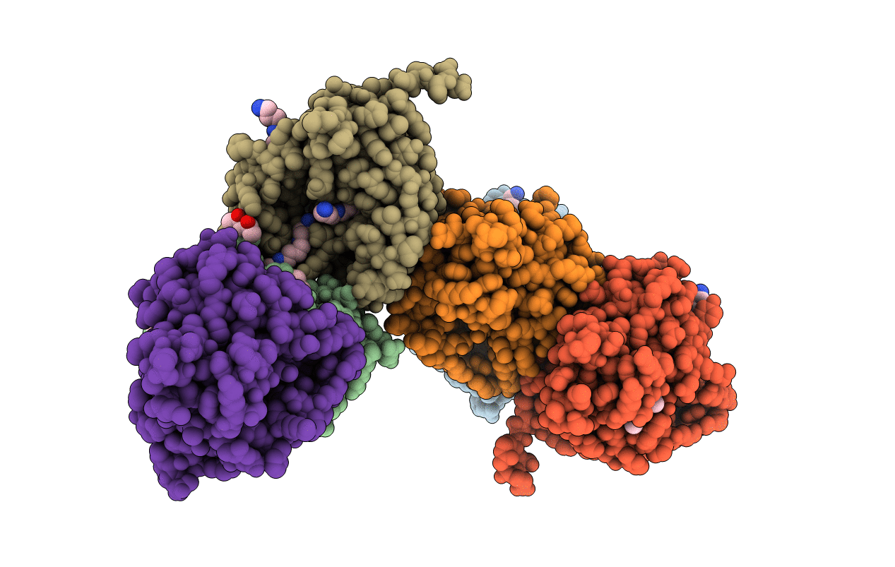 6E1X image