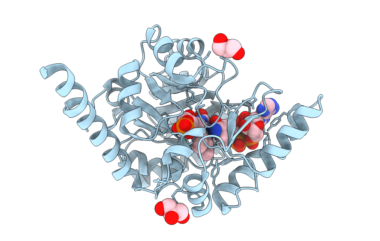 6E2A image