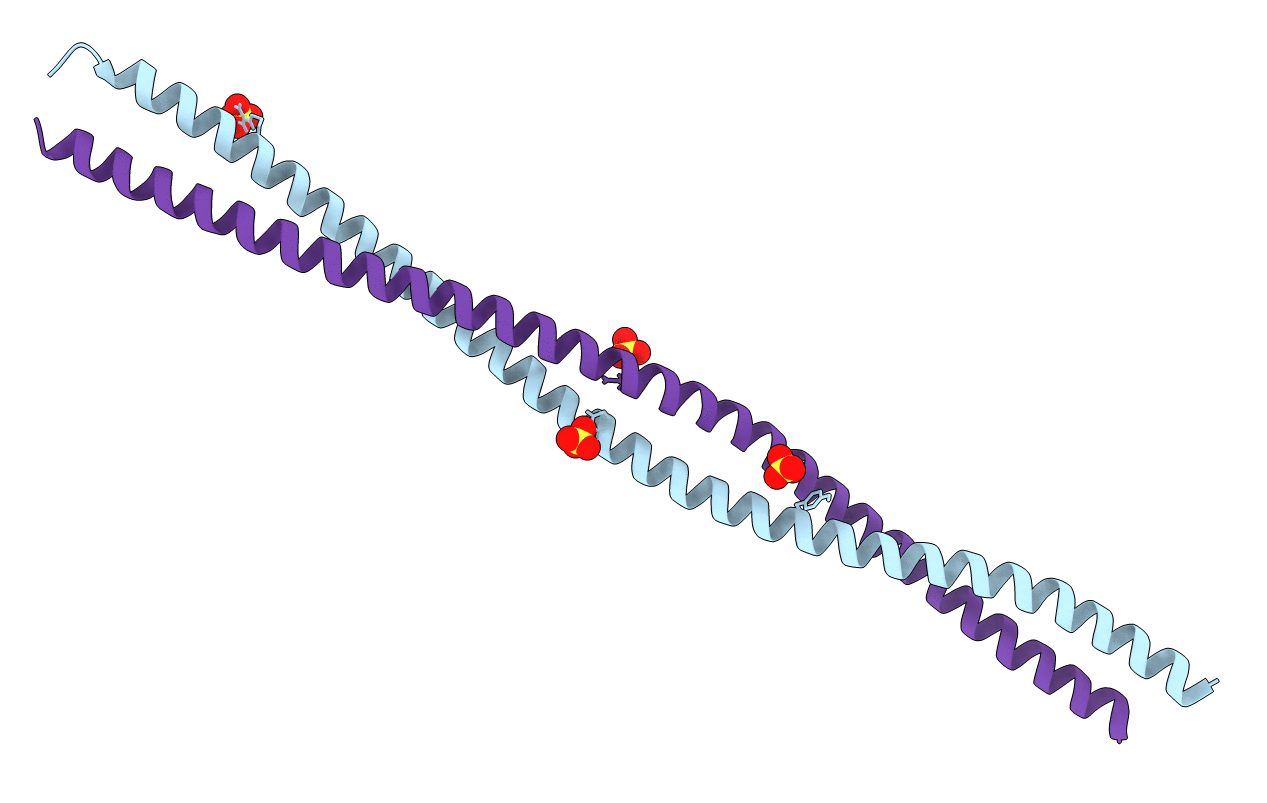 6E2J image
