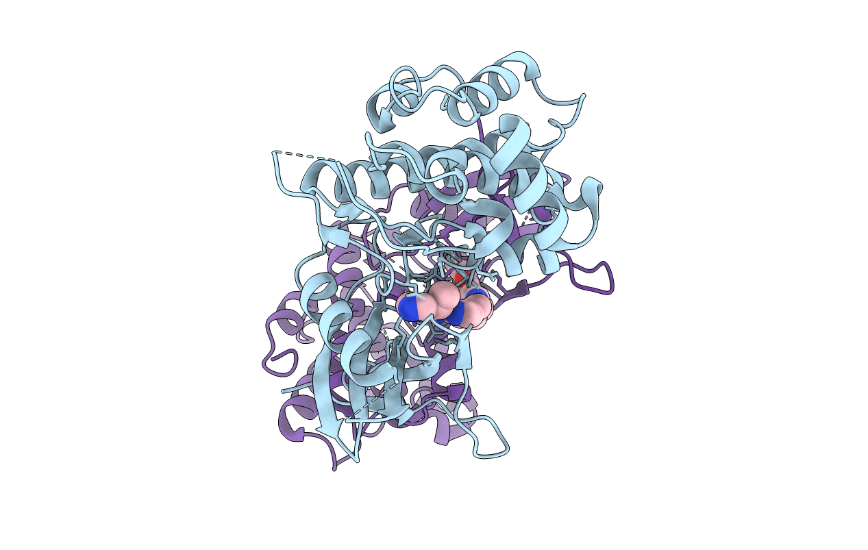 6E2N image