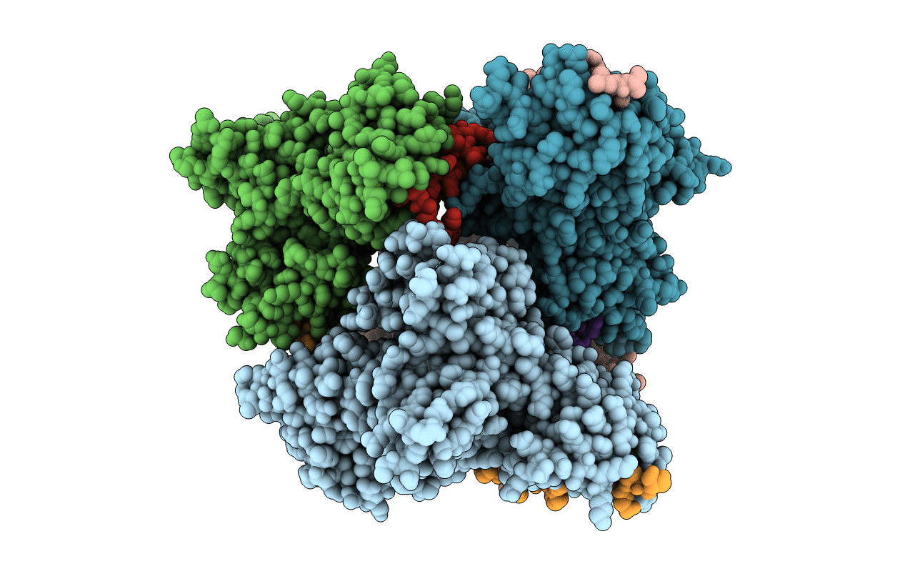 6E2Q image