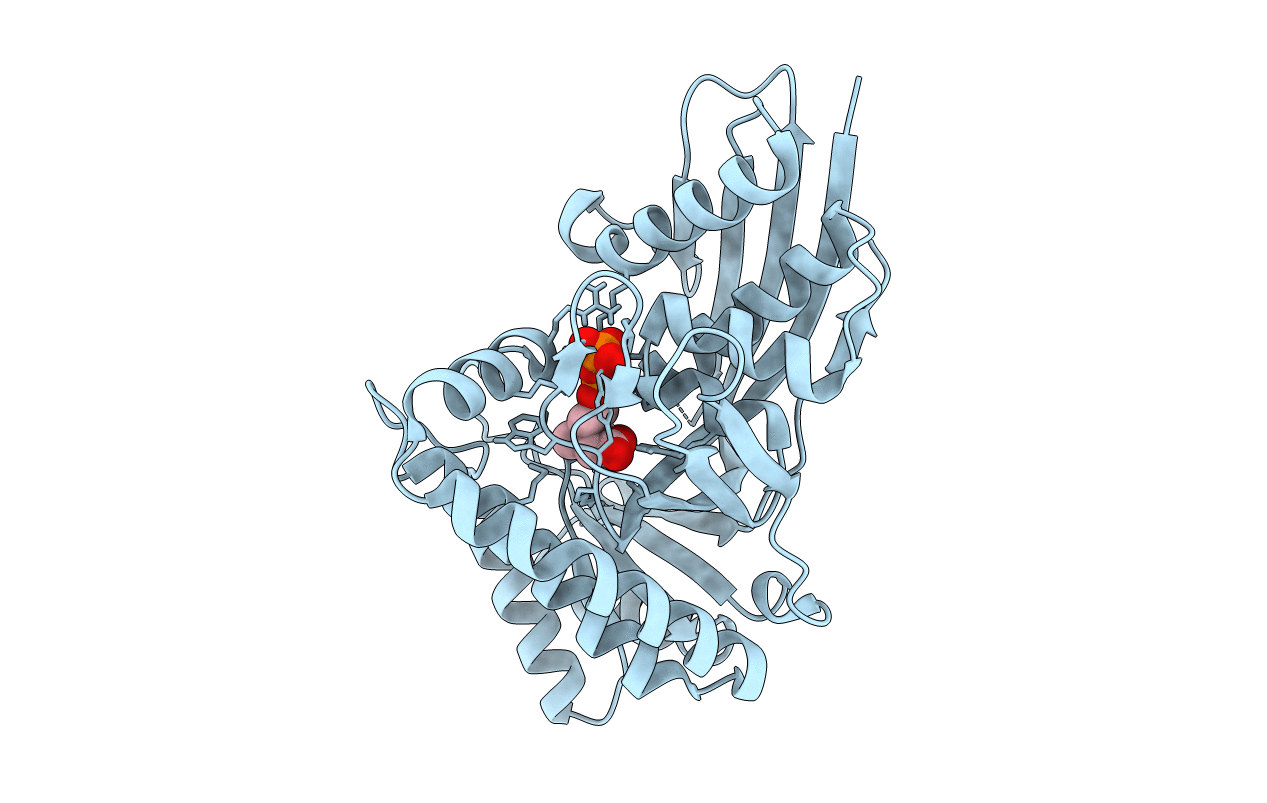 6E2T image