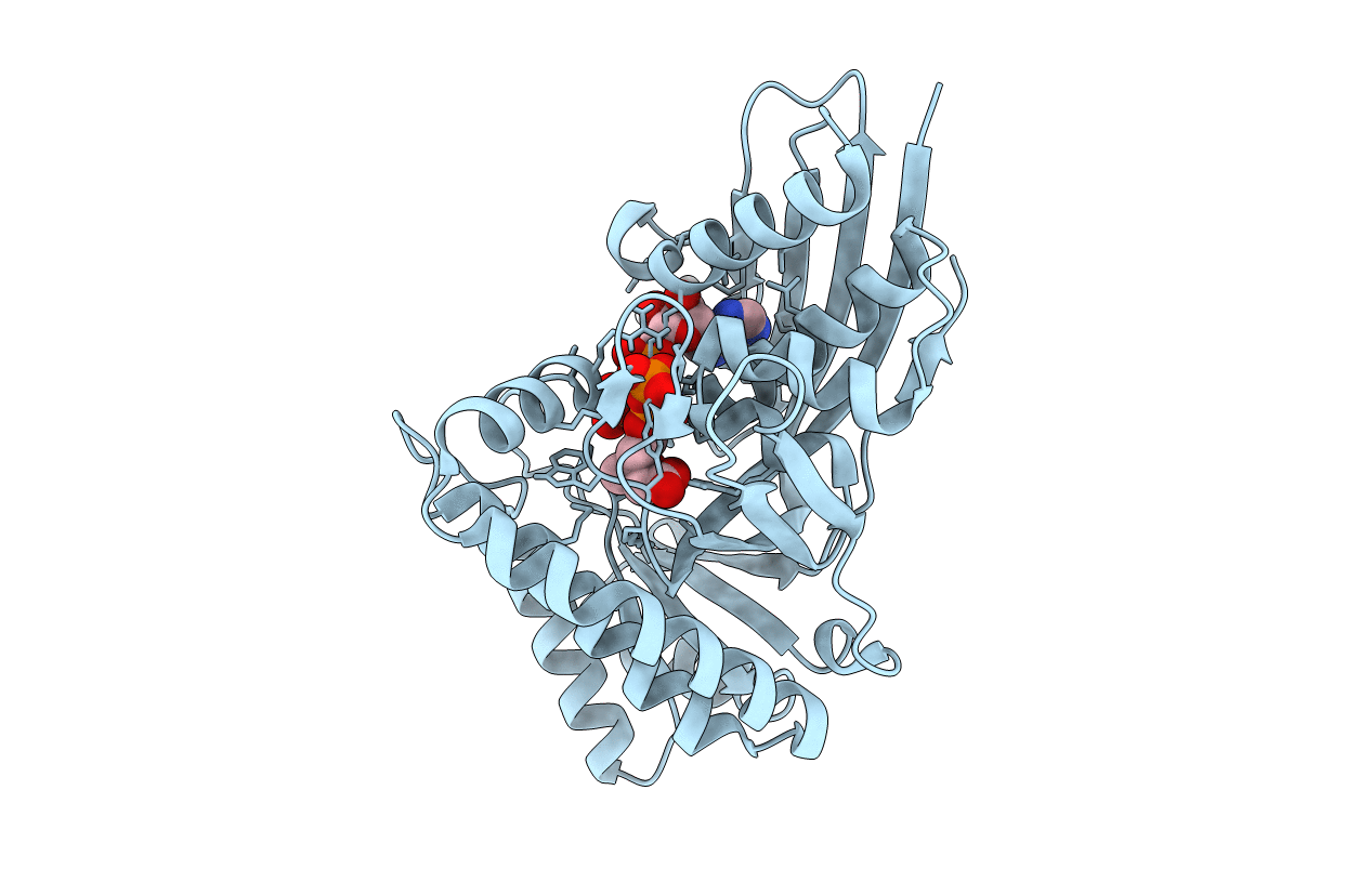 6E2U image