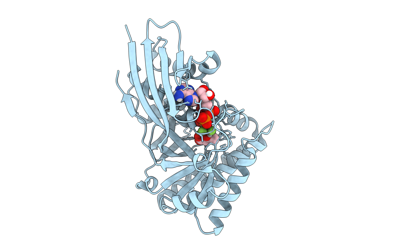 6E2V image