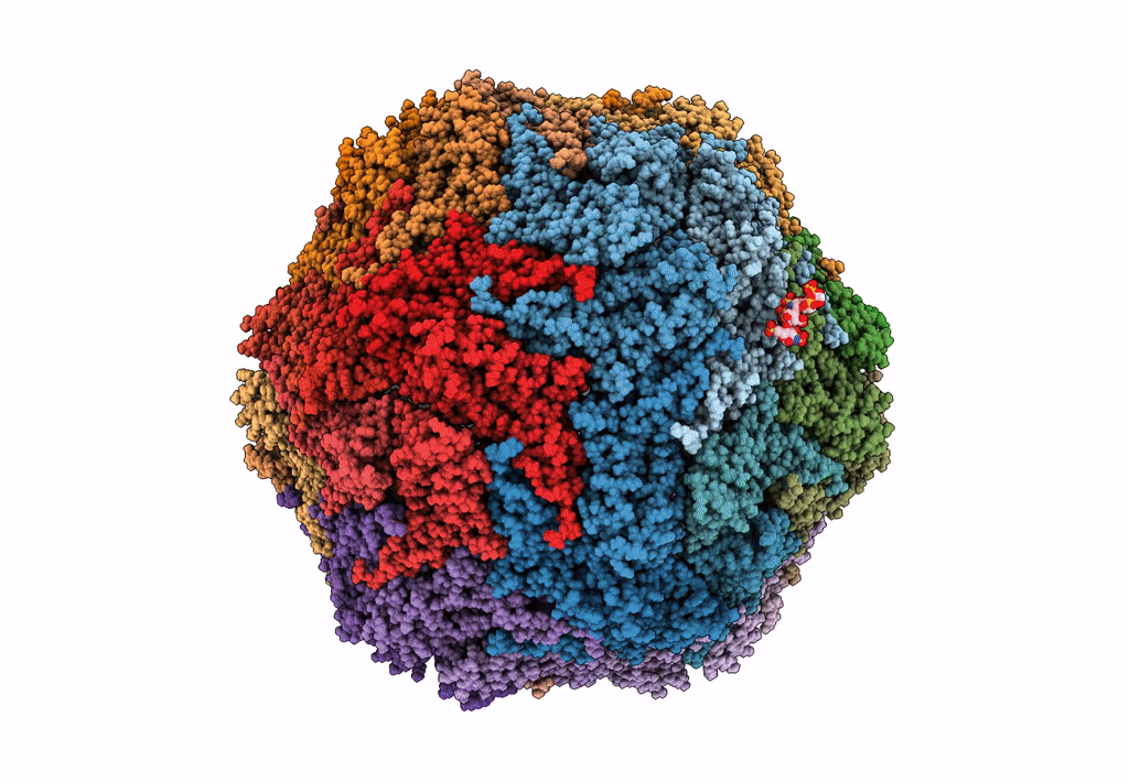 6E2X image