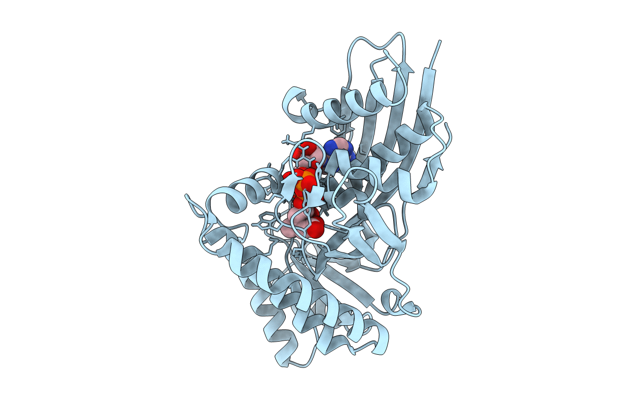 6E2Y image