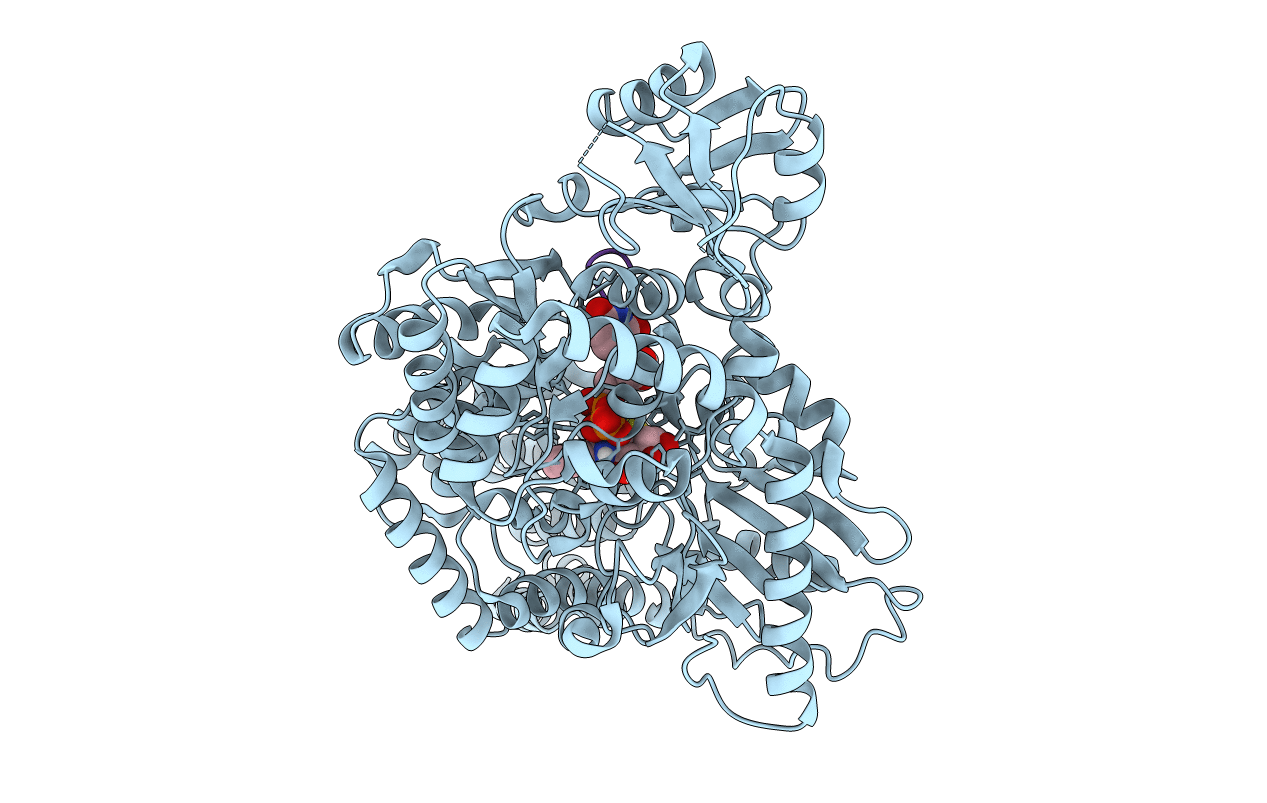 6E37 image
