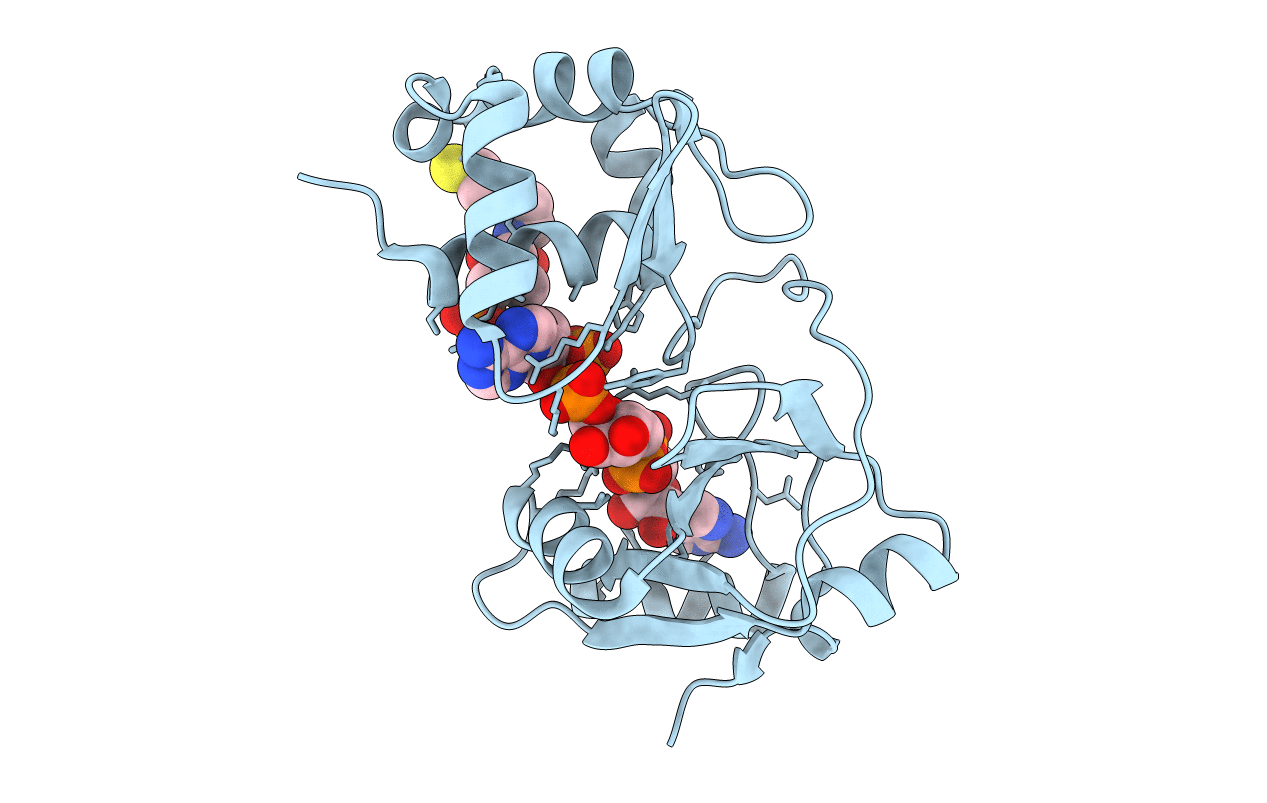 6E3A image