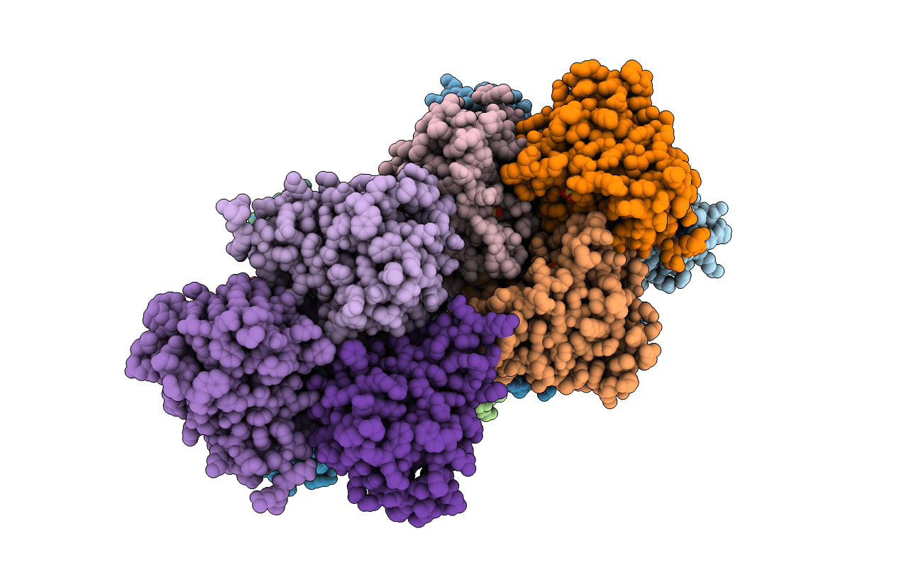6E3B image