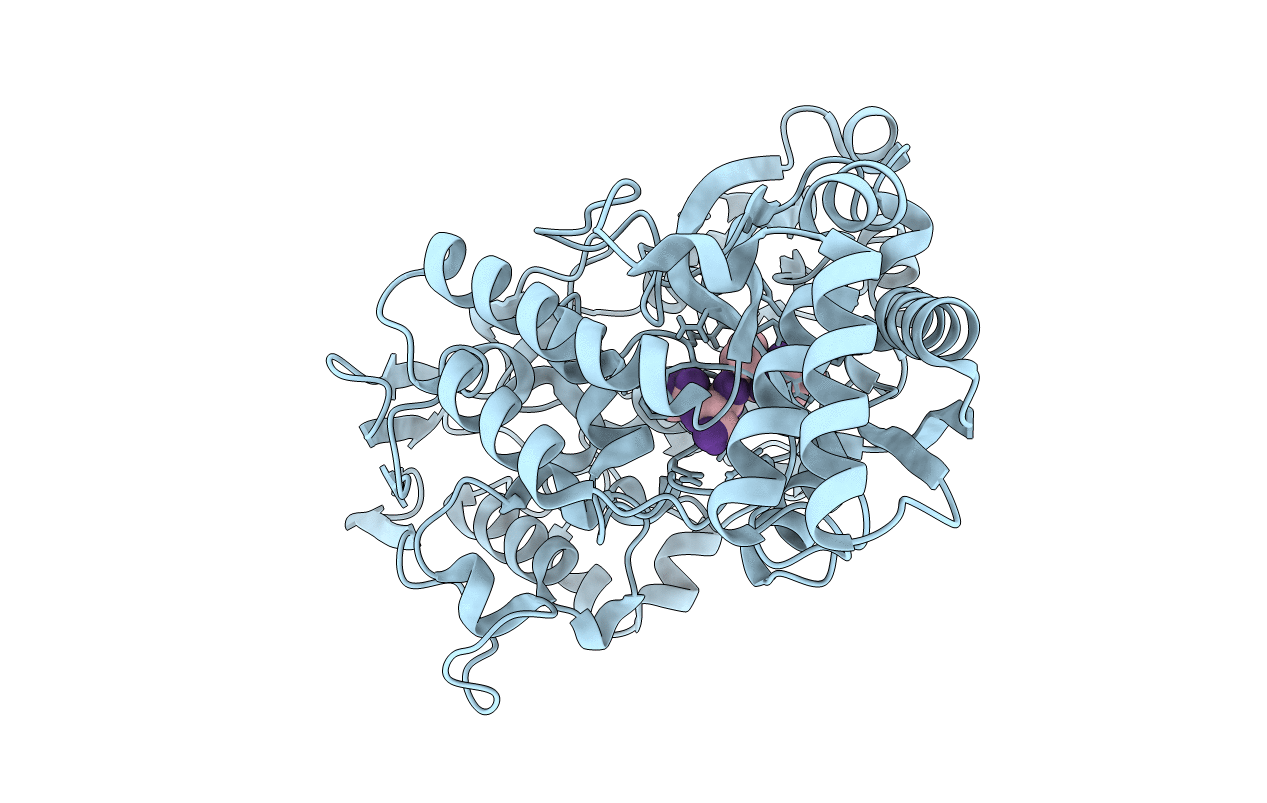 6E3D image