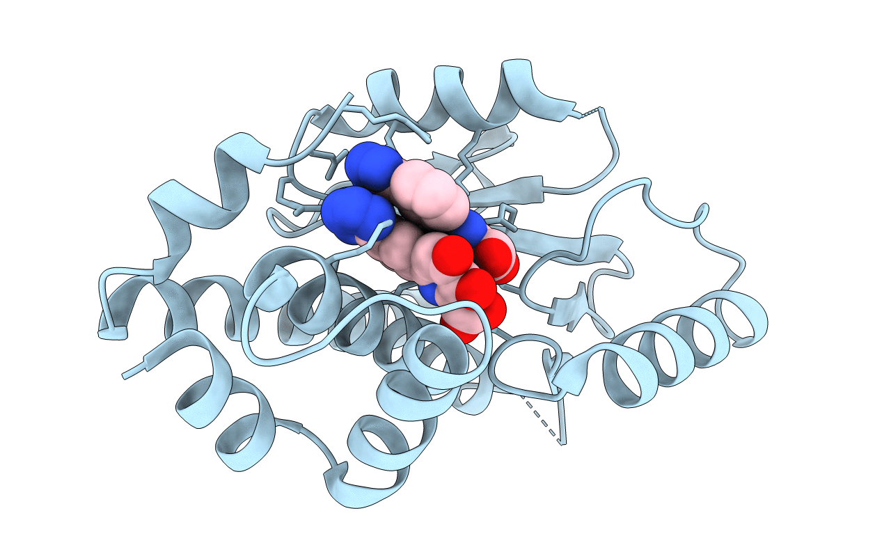 6E3P image