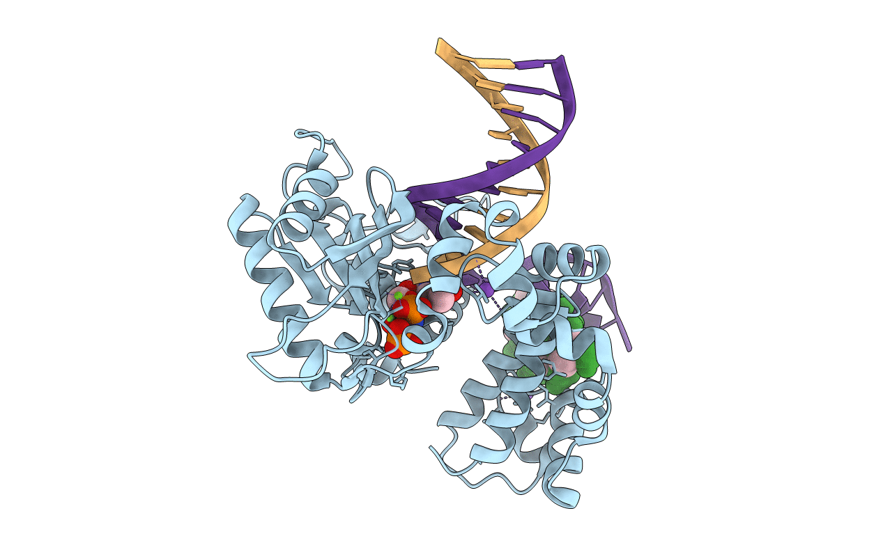 6E3V image