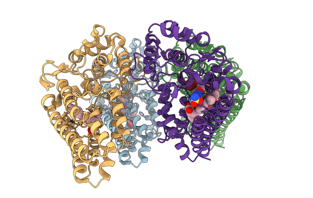 6E40 image