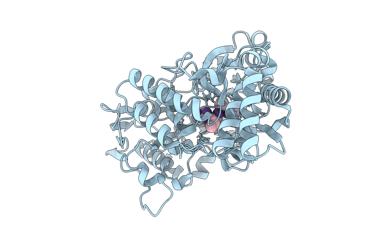 6E4D image