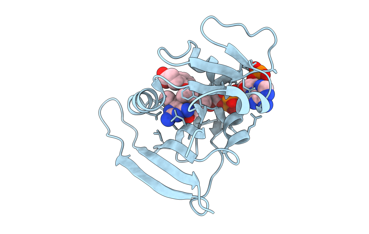 6E4E image