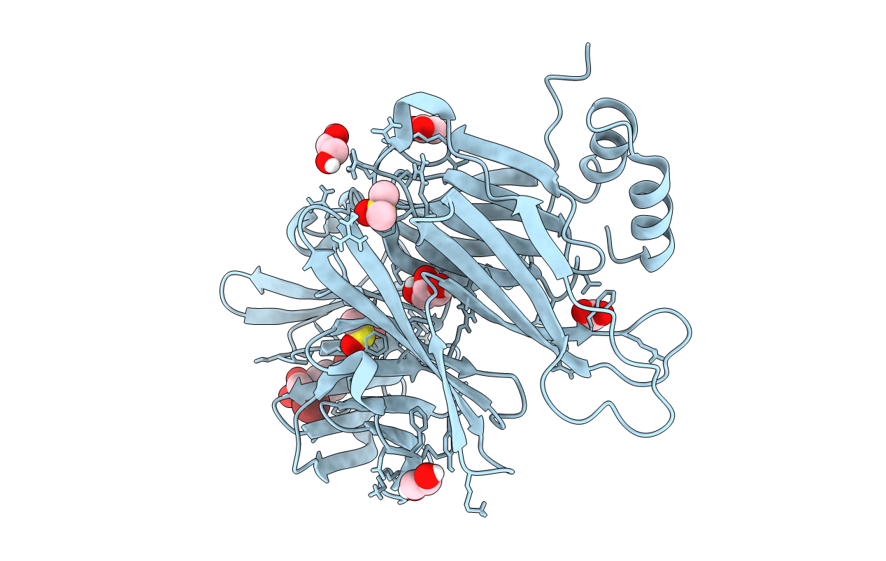 6E4L image