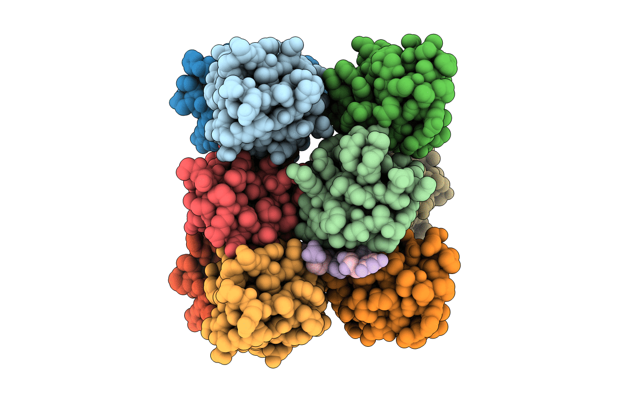 6E4P image
