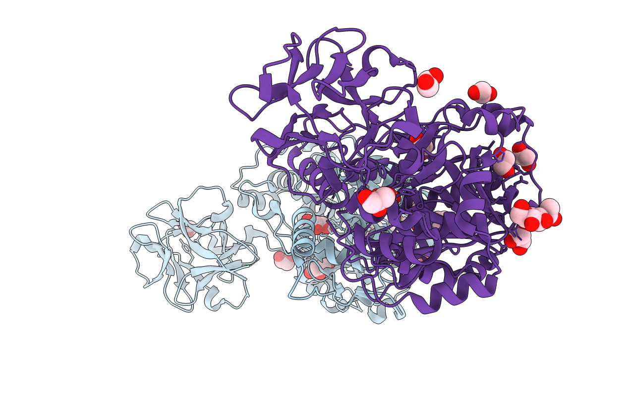 6E4R image