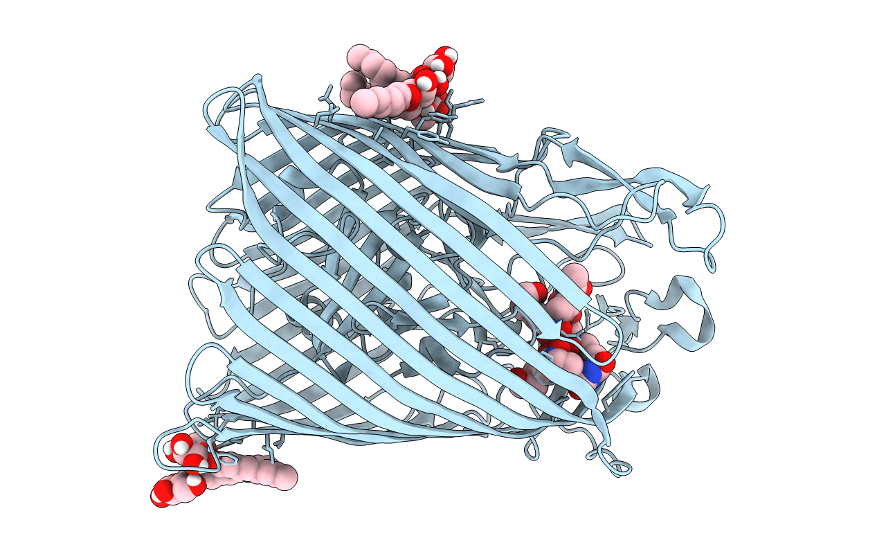 6E4V image