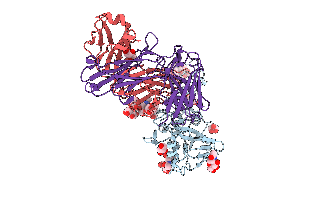 6E4X image