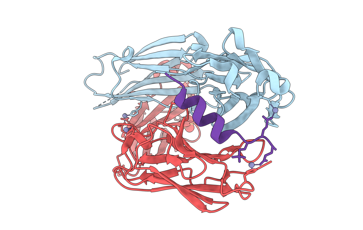 6E4Z image