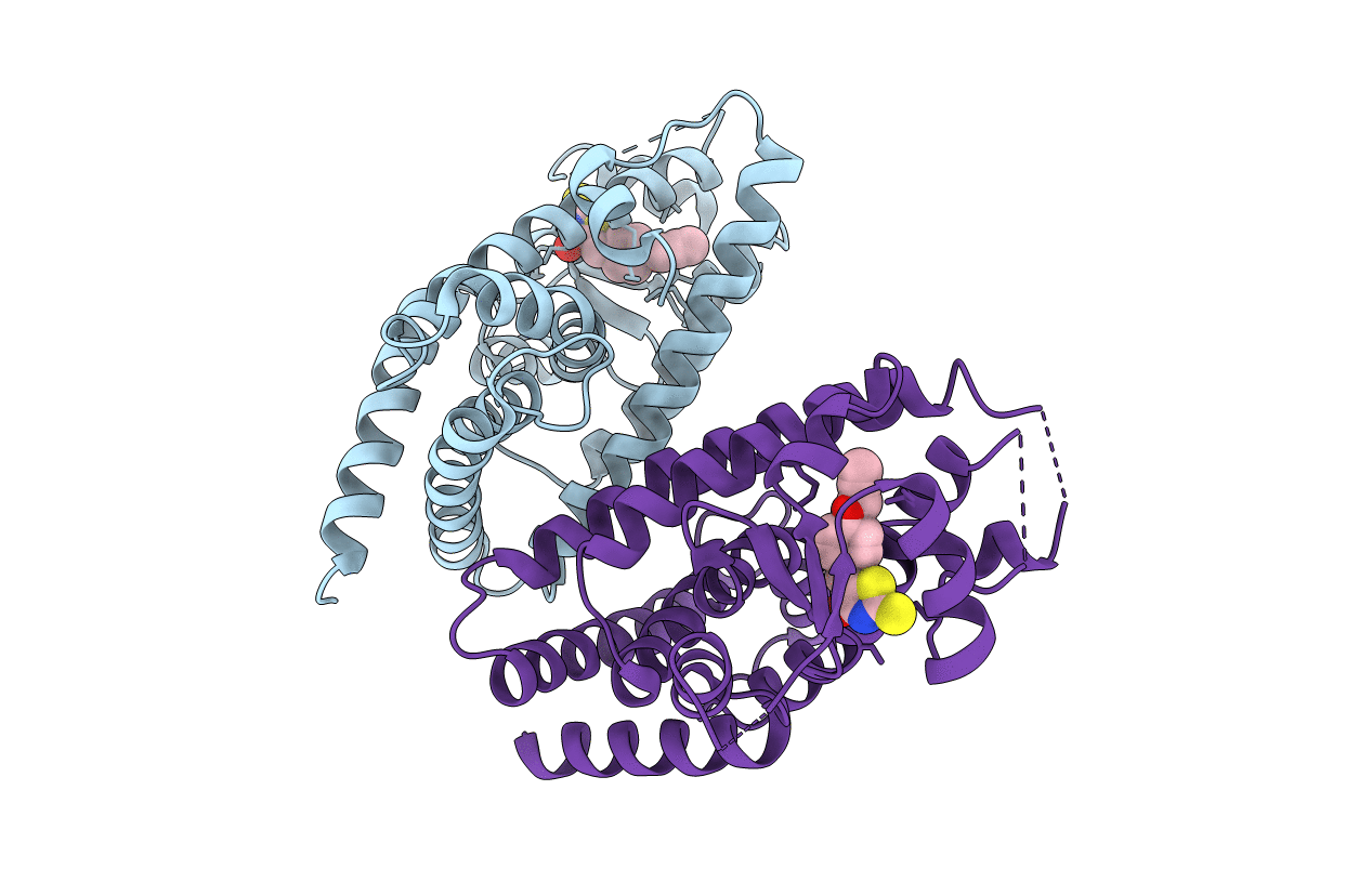 6E5A image