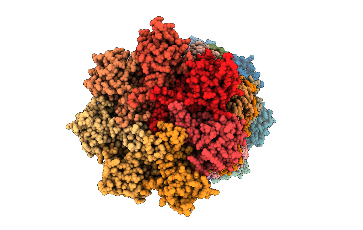 6E5B image