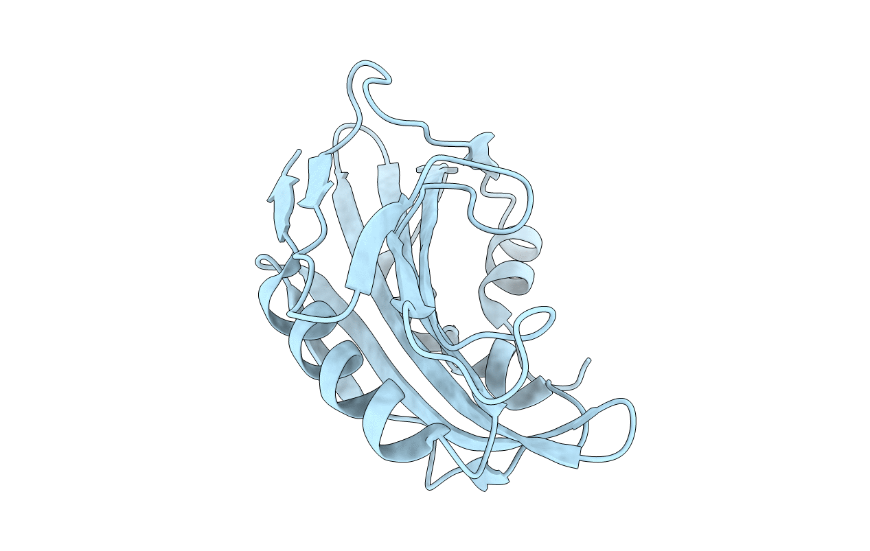 6E5D image