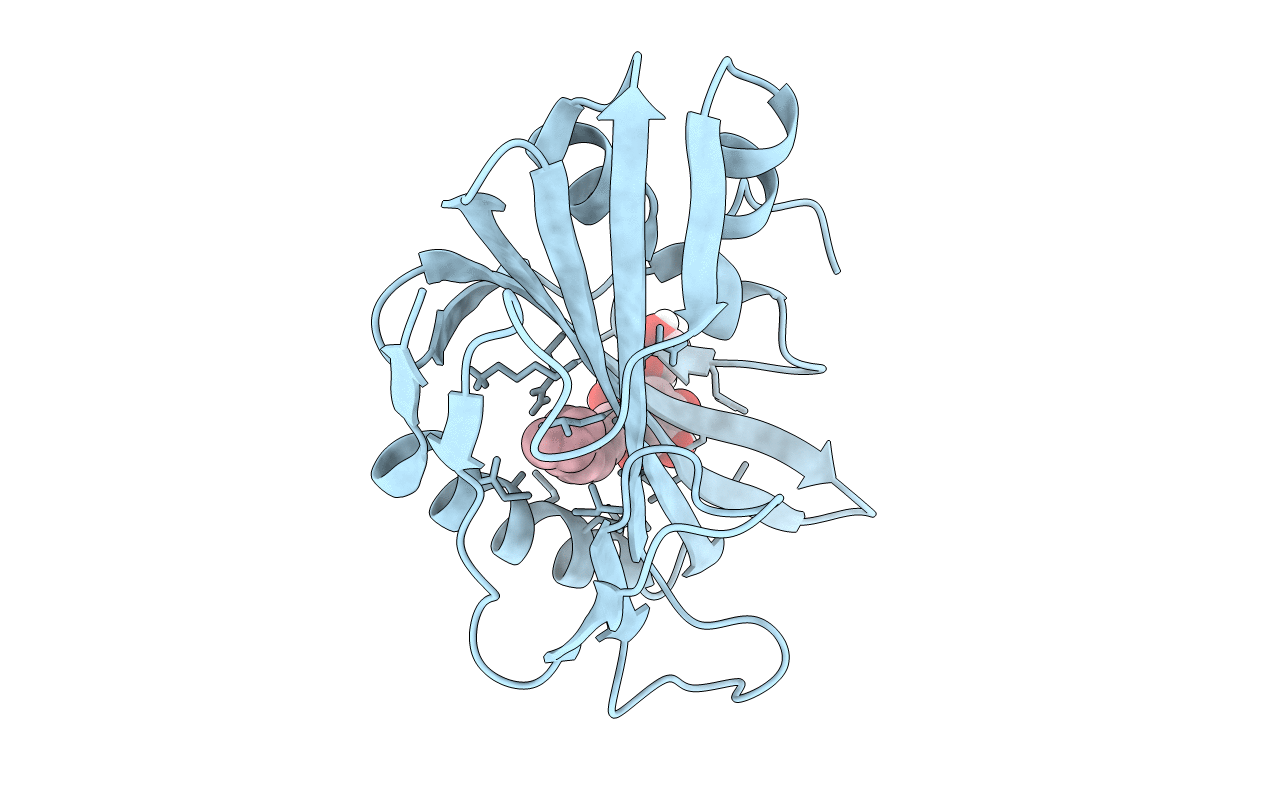 6E5F image
