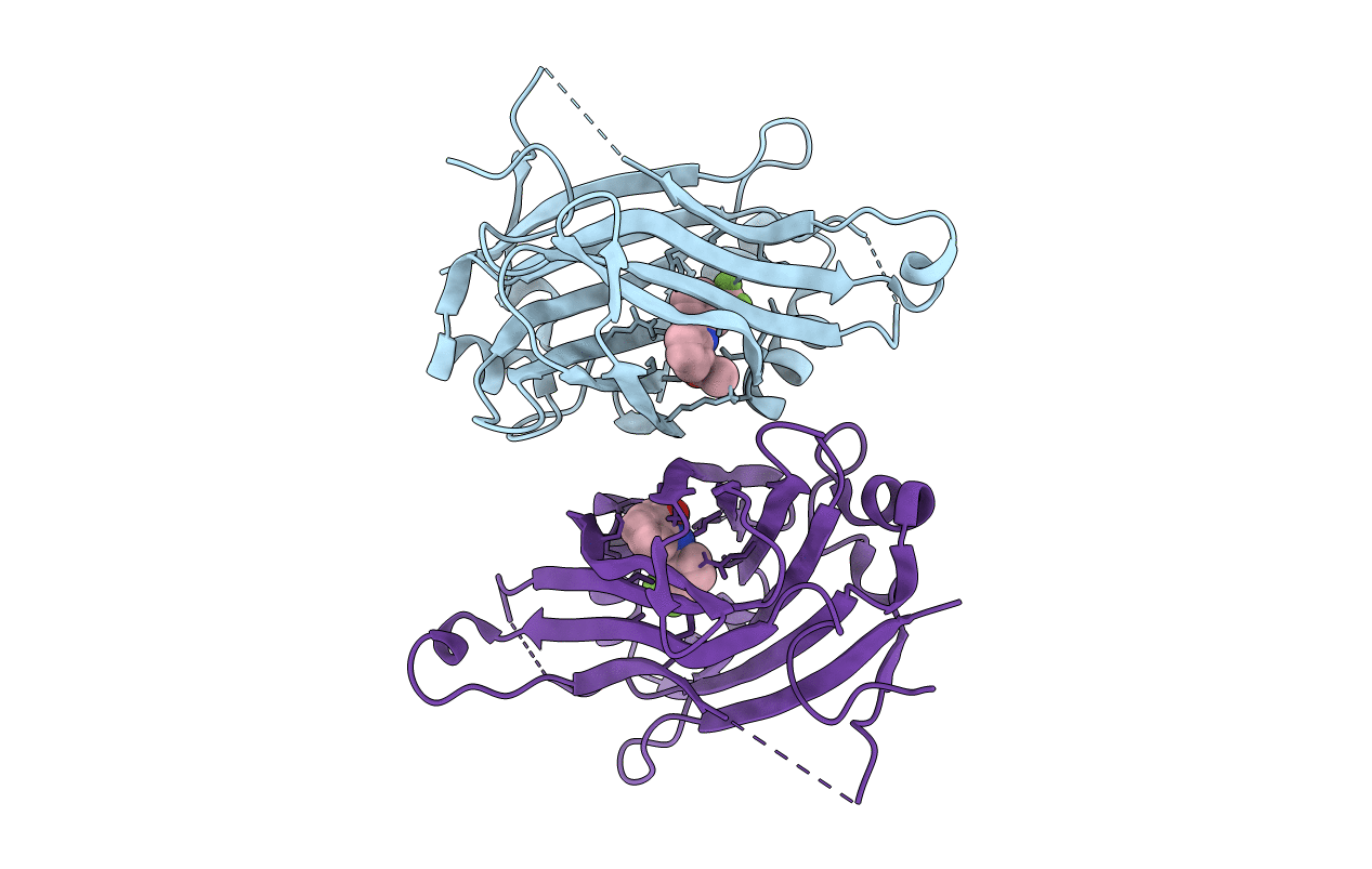 6E5G image