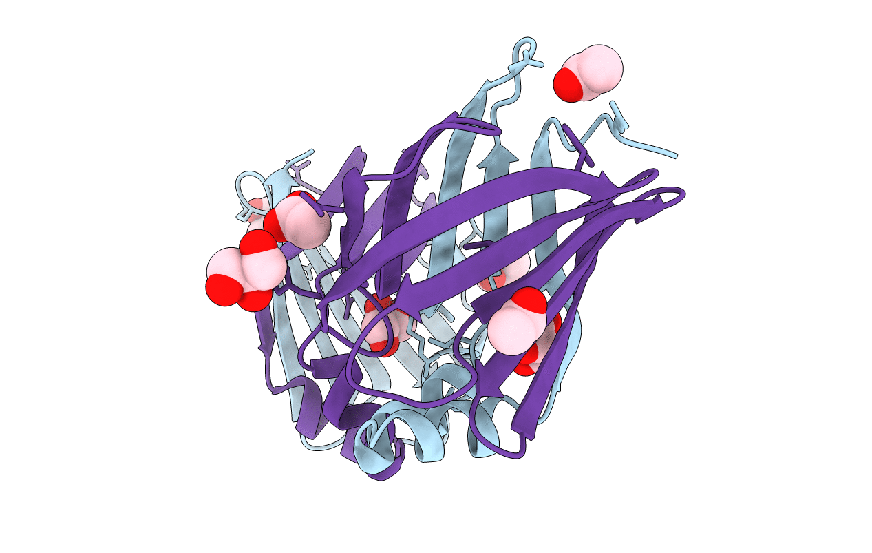 6E5R image