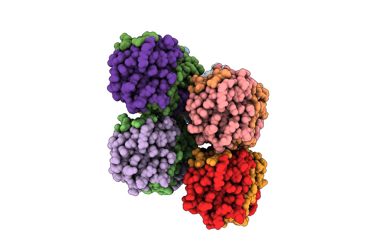 6E5S image