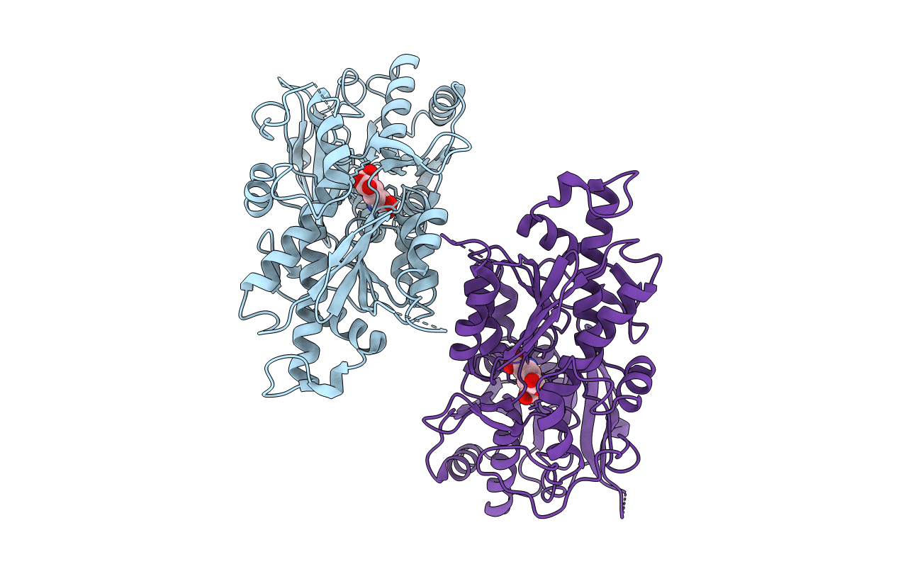 6E5V image