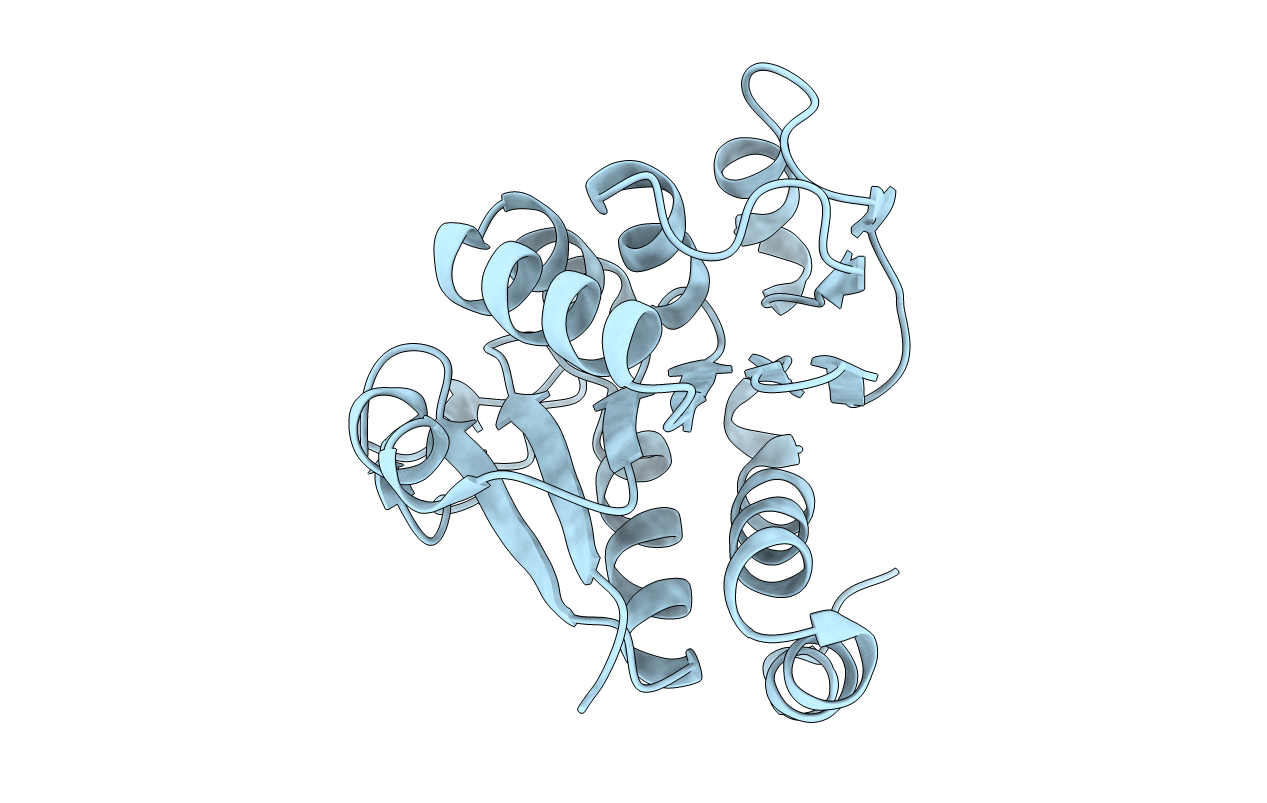 6E5Z image