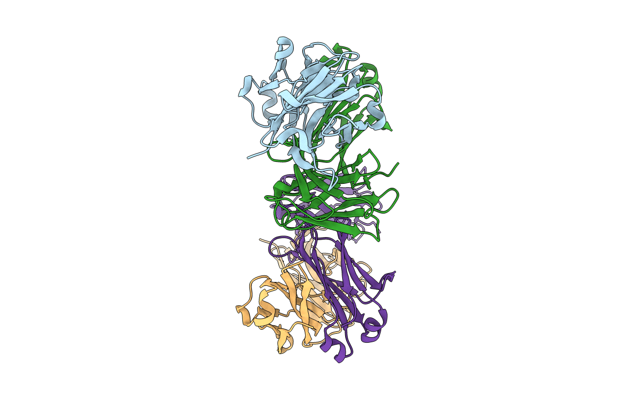 6E64 image