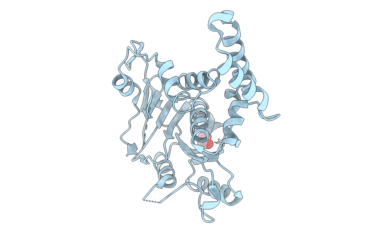 6E66 image