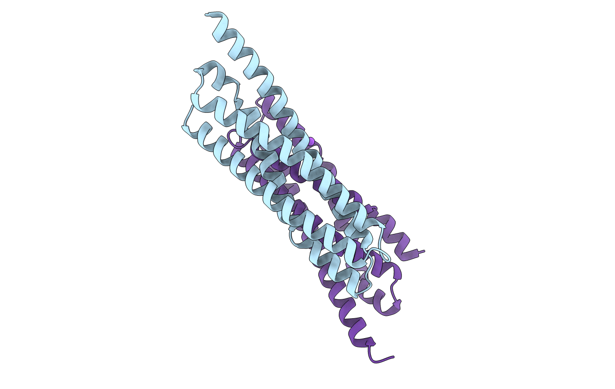 6E6A image