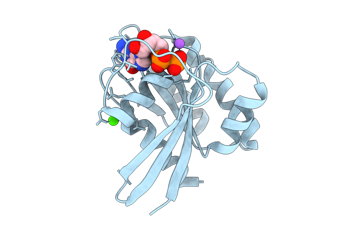 6E6G image