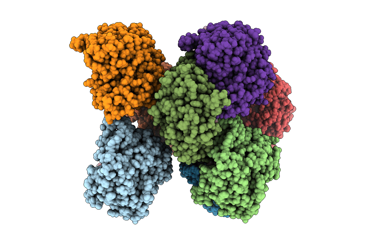 6E6I image