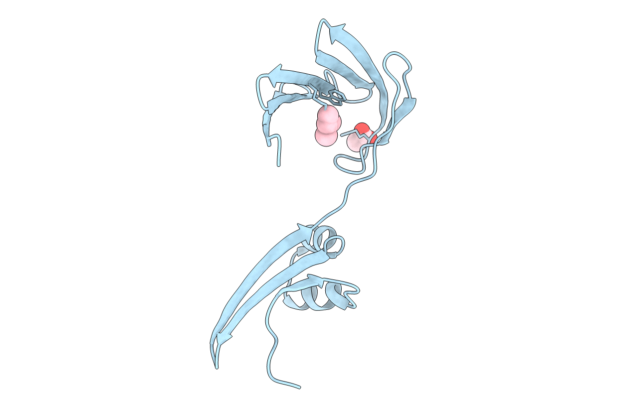 6E6L image