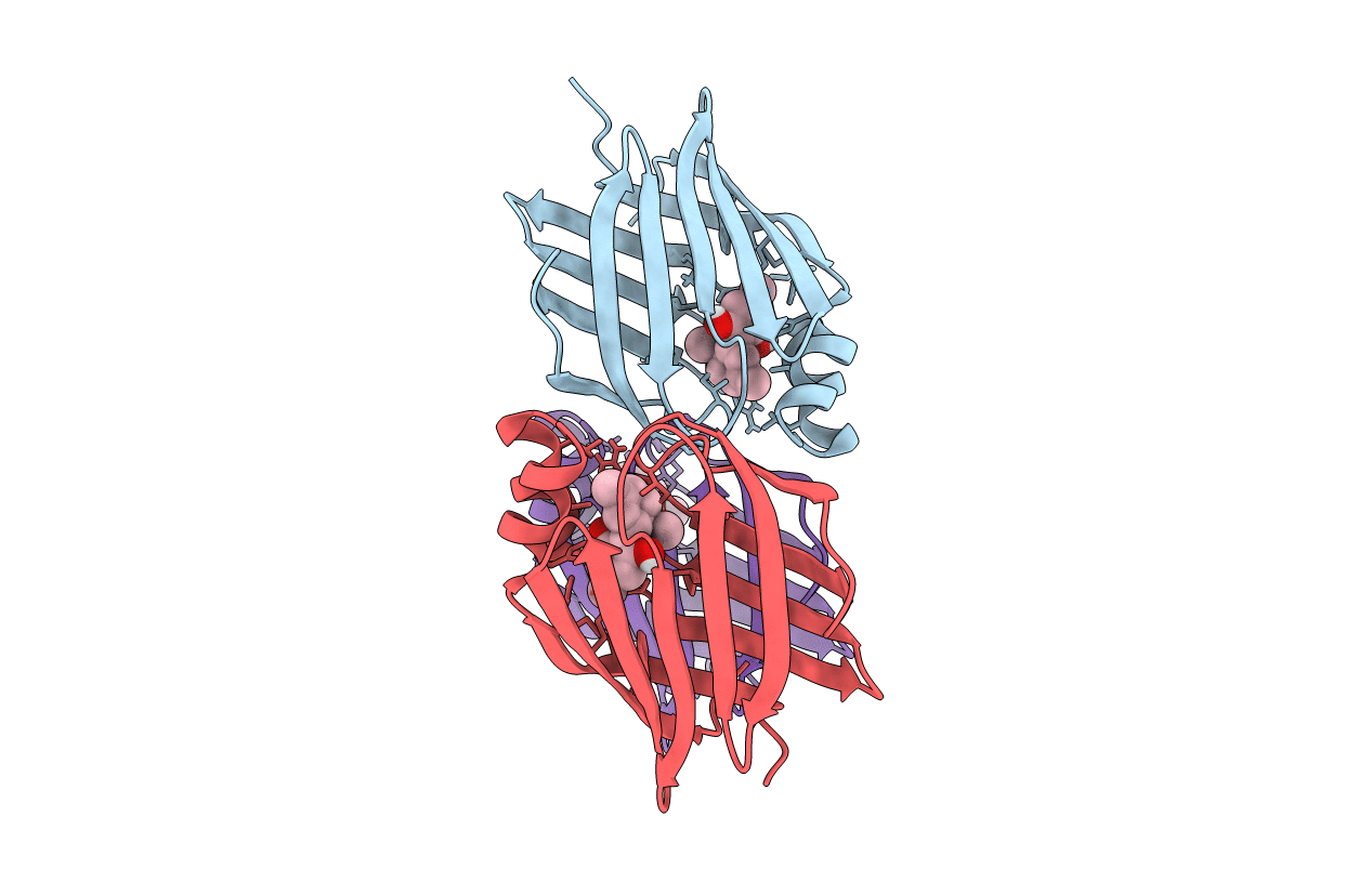 6E6M image